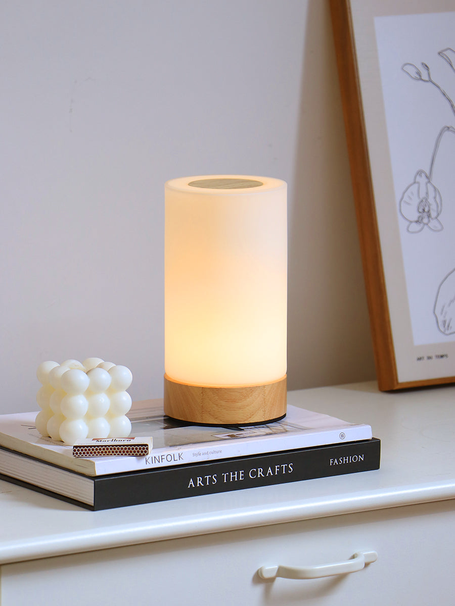 Portable Night Light Cordless Touch Remote Mini Bedside Table Lamp