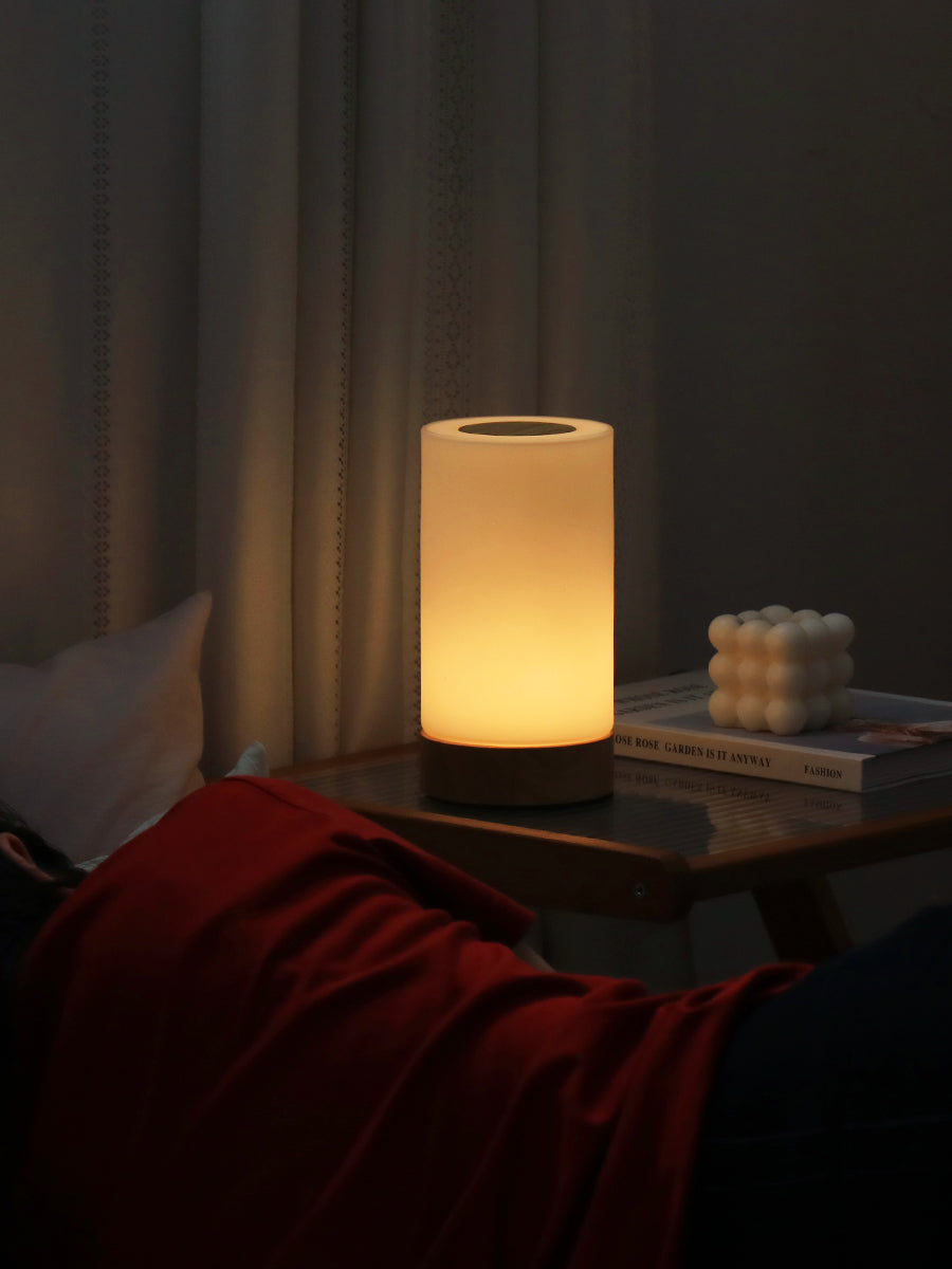 Portable Night Light Cordless Touch Remote Mini Bedside Table Lamp