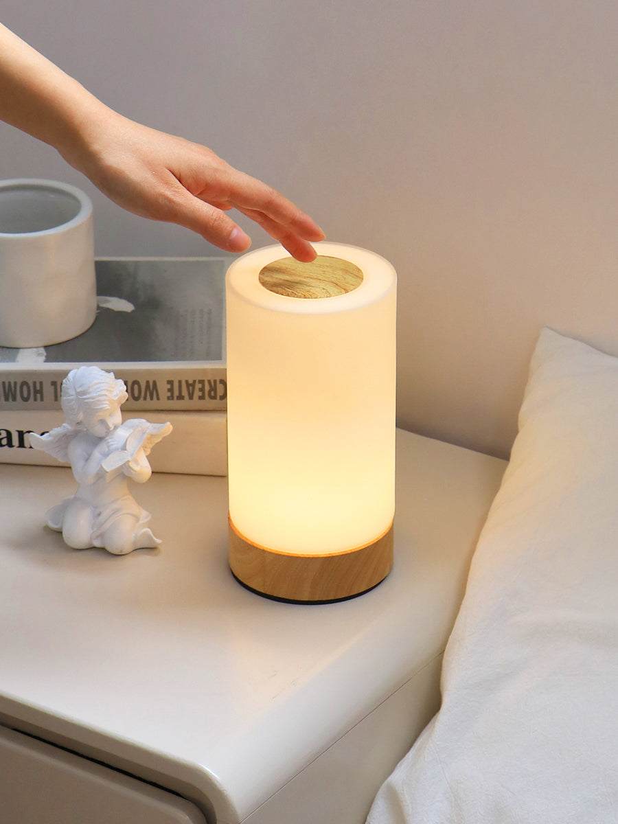Portable Night Light Cordless Touch Remote Mini Bedside Table Lamp